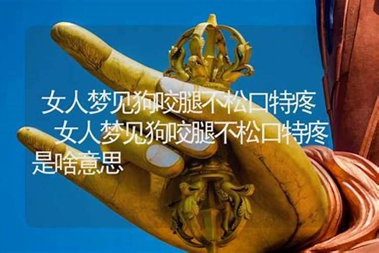 女人梦见狗咬腿是吉兆