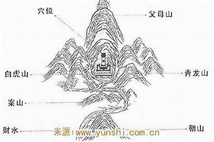 梦见已丢的猫又回来了的预兆