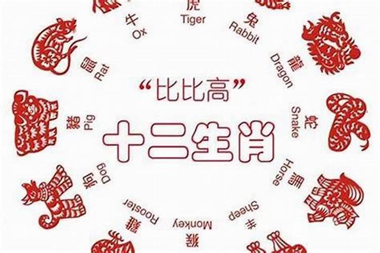 属龙人最倒霉的年龄