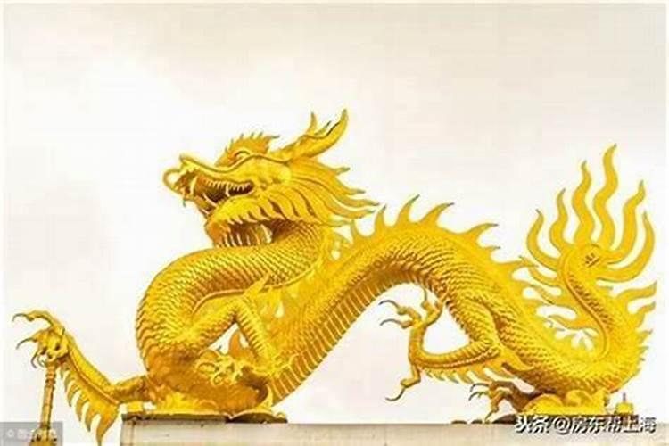 属龙人最倒霉的年龄