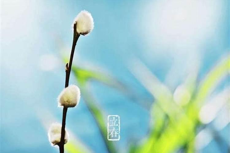 春节和立春差几天