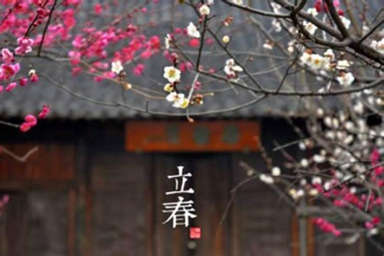 2025年打春是哪天