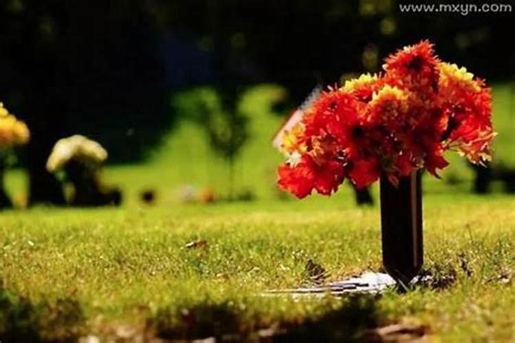 梦见老鼠死了的预兆