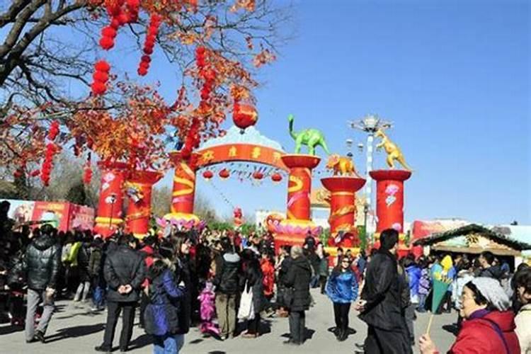我想问一下全国各地庙会交流会的准确时间!