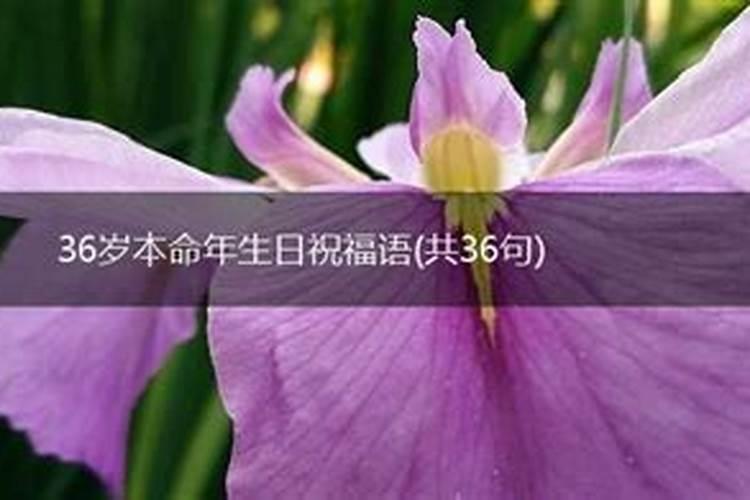 36岁本命年生日祝福语 36岁本命年生日祝福语有哪些