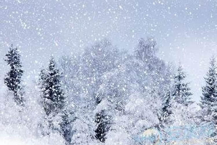 梦见夏天下雪是吉兆还是凶兆