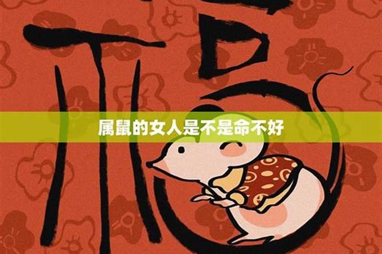 属鼠人三月命运一定不好吗,属鼠的人出生在农历三月的好不好