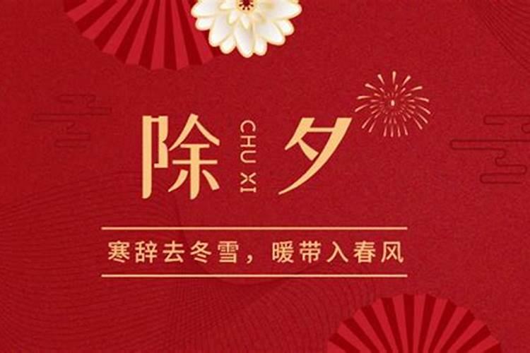看星星看月亮写作文