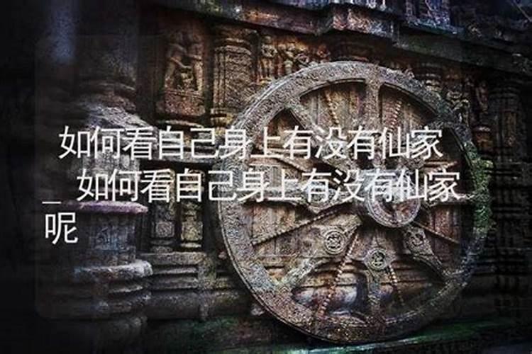 四月十八还替身说说