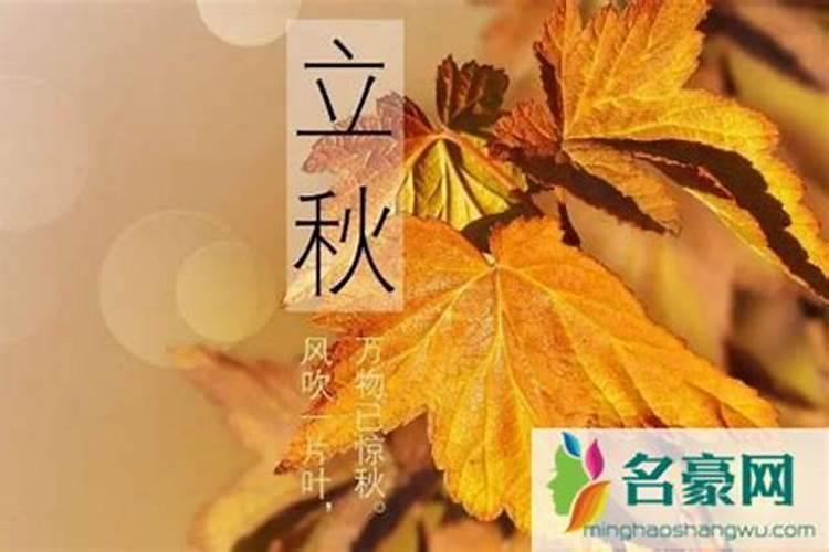 今年几点立秋时间是09时06分03秒是早立秋还是晚立秋呢