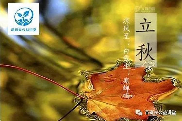 处暑和立秋哪个在前 立秋和处暑哪个热