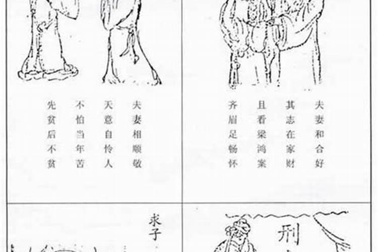 梦见黑白猫与我厮打的预兆