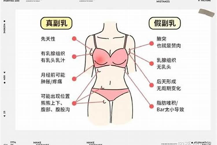 梦见见女人乳房的预兆
