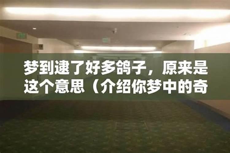 梦见死人场景是什么意思？