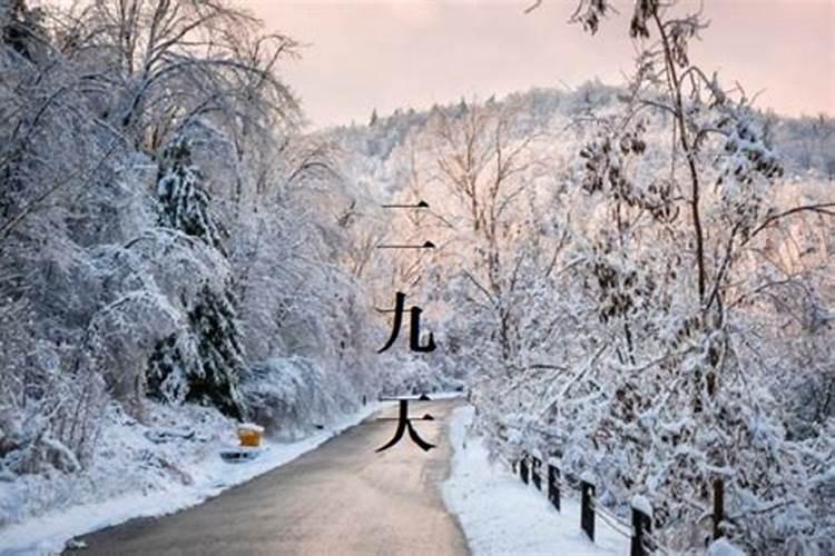 家养什么花对考试风水好