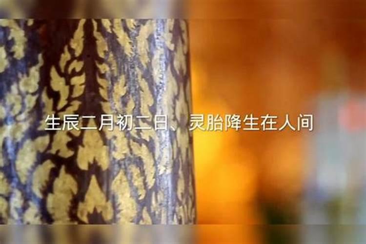 龙抬头出生的女孩命好不好