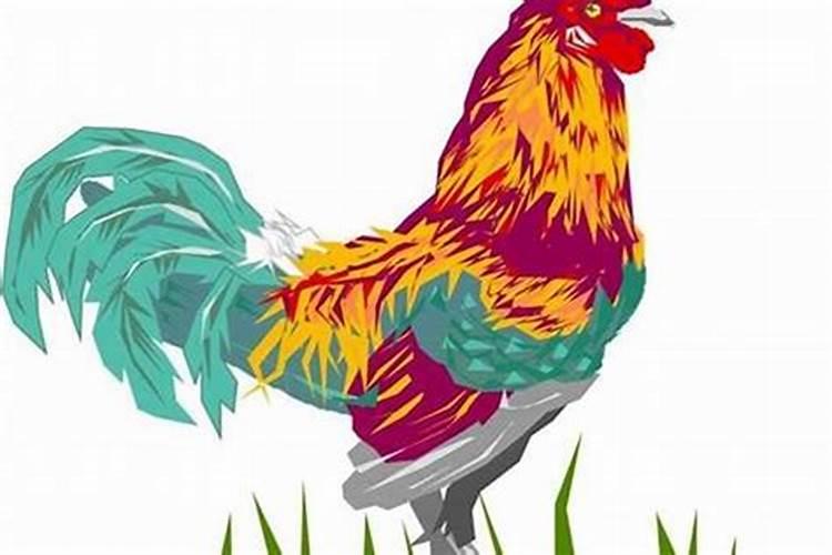 属鸡人一生运势