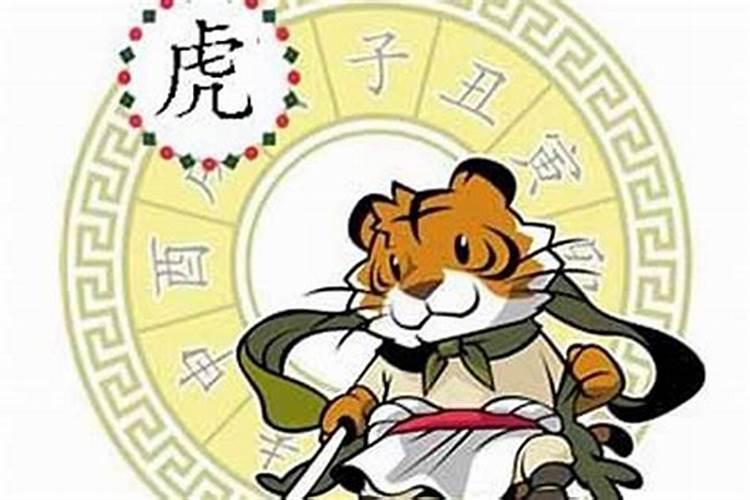 属虎的什么年份运气好