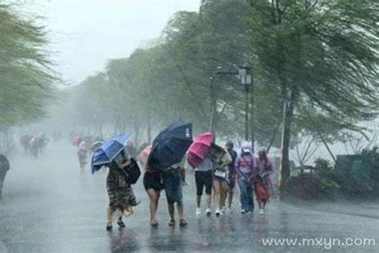 女人梦见刮大风下大雨 女人梦见刮狂风下大雨预示什么意思