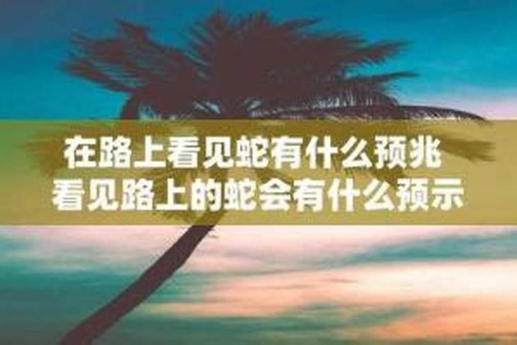 出门遇见猫有什么预兆？