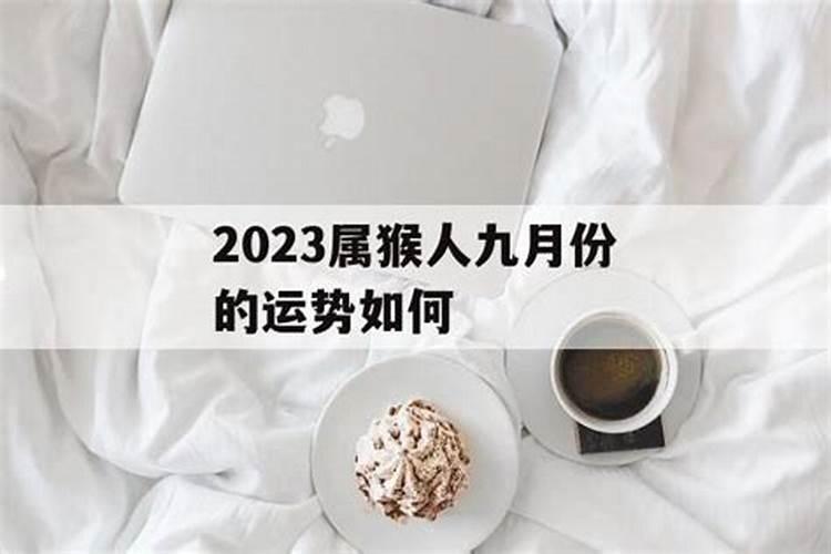 属猴人9月走什么运？事业有好运眷顾？