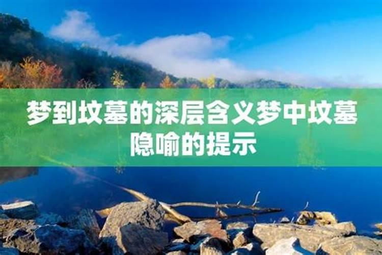 梦见有很多蟾蜍是什么意思