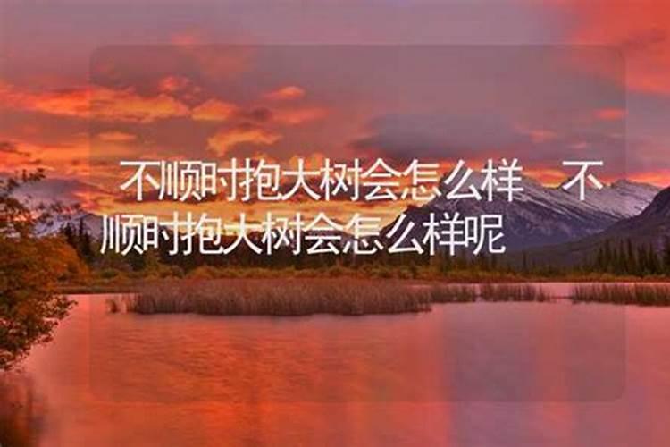 婚姻不顺抱大树方法