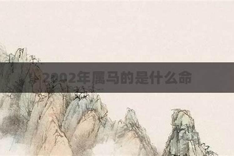 2002年属马的是什么命