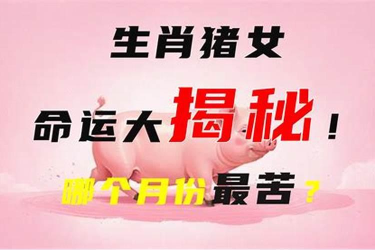属猪的几月出生最好命