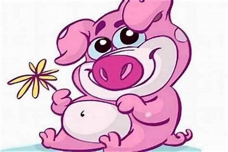 属猪人出生月运势怎么样属猪的几月出生最好命
