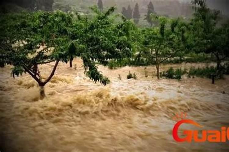 梦见洪水是什么预兆