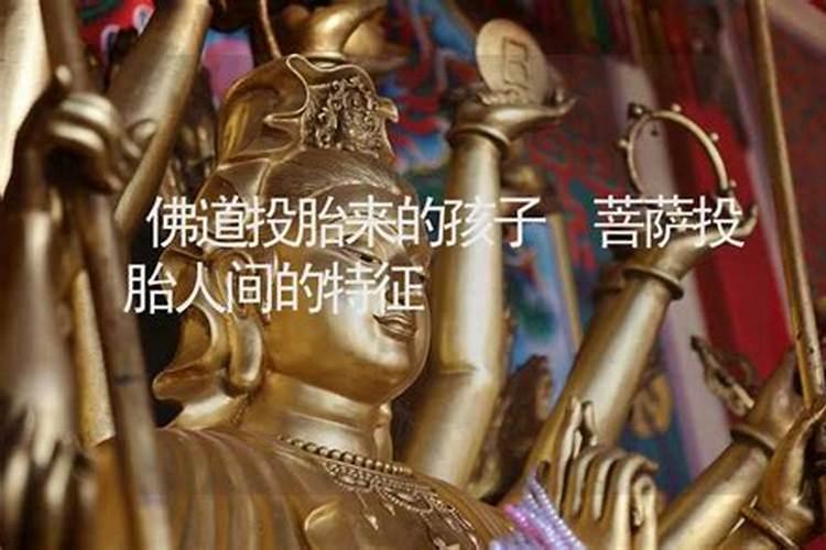 观音菩萨面前的童子下凡投胎转世为人是不是很聪明天赋很高本事大能力...