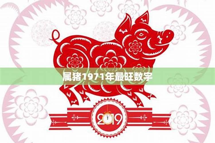巨匠详解:属猪2023年全年运势运程及每月运程？