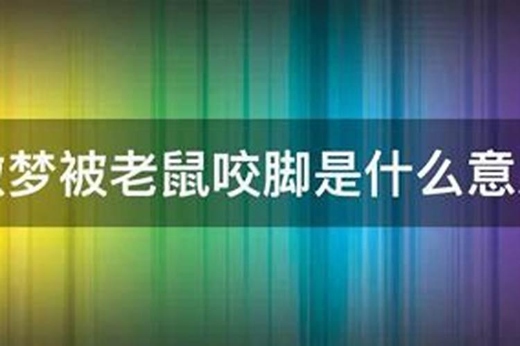 梦见被老鼠咬脚趾头的预兆