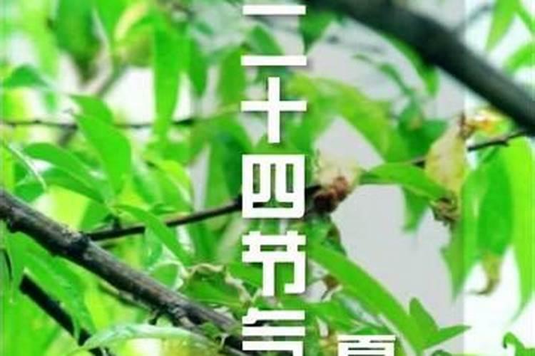 二十四节气:夏至节气的由来