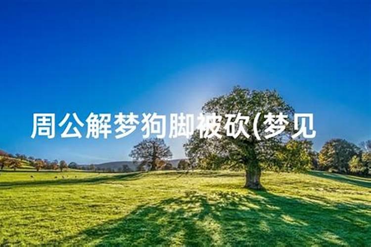 梦见脚受伤 梦见脚受伤好不好