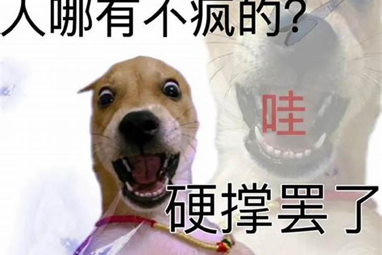 梦见流星划过和水的预兆
