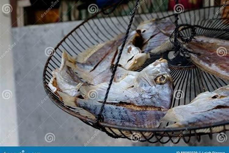 梦见很多干鱼的预兆