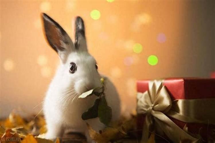 今年七月十五能上坟吗