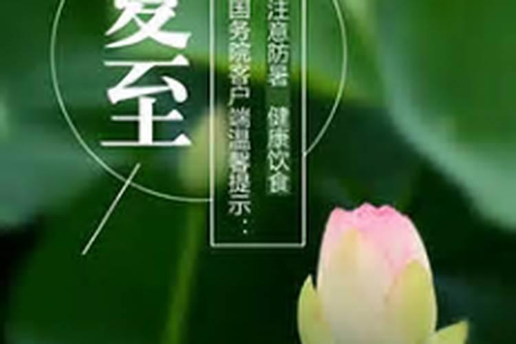 2025夏至的寓意和象征