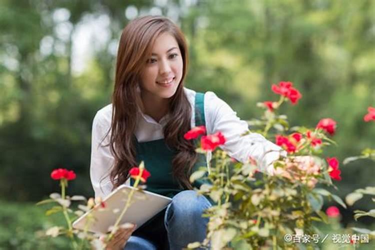 11月出生五行属什么