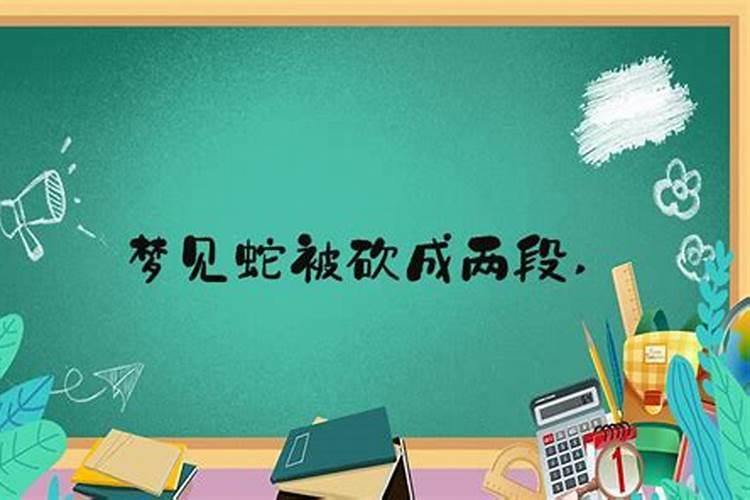梦见把蛇砍成两半是什么预兆