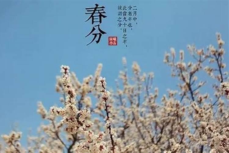 1984属鼠2025每月财运