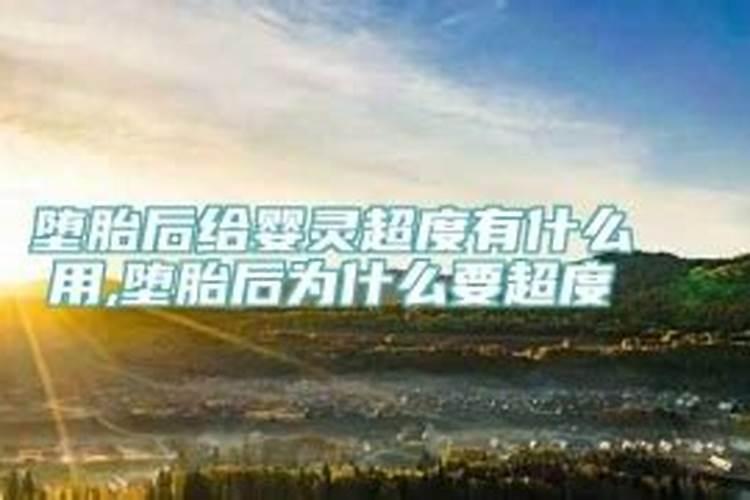 梦见自己被马蜂追着跑预示着什么？