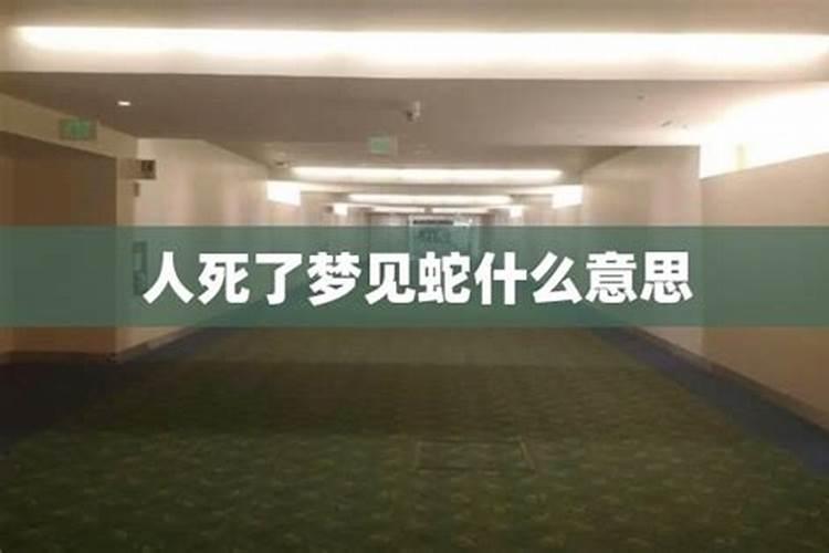 梦见死蛇是什么预兆
