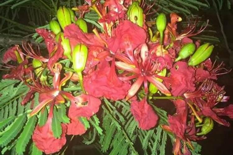 一九七八年属马腊月二十的能遇八四年五月初六的合婚吗？