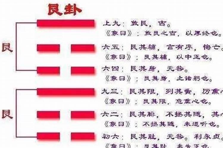 乙亥年戊子月丁酉日柱属兔时辰生的男生和丙子年丁酉月庚午日丙子时女...