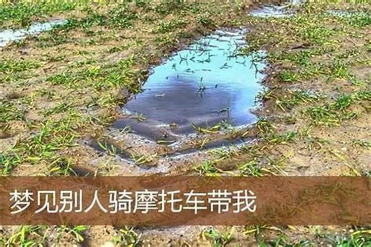 我是87年阴历5月11出生,阳历6月6号 我今年的运势如何？