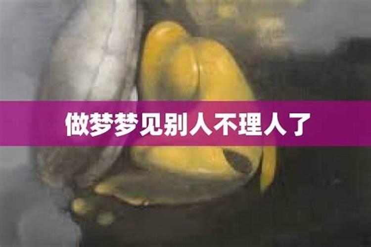 梦见别人不理我
