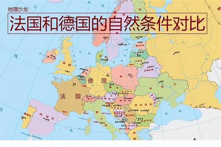 谁知道桃花水母的样子及生活习性？